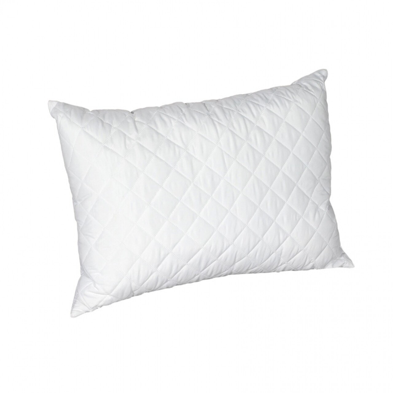 l-perna-matlasata-alcam-microfibra-50x70-cm Perna microfibra matlasata Alcam, 50x70 cmCompozitie umplutura: Fibre siliconice | Nivel fermitate: Moale | Proprietati: Lavabila - imagine 1
